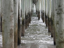 海洋,塢站,支柱