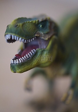 腳,牙,危險(xiǎn)