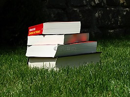書,書籍,夏天