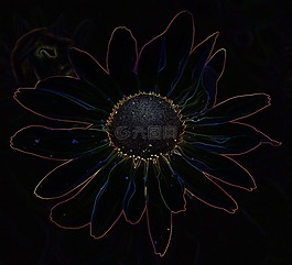 花,抽象,藝術(shù)
