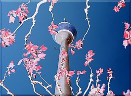 電視塔,具有里程碑意義,天空