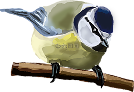麻雀,鳥,動物