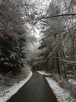 冬天,雪,寒冬