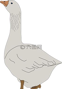 動物,鳥,鵝