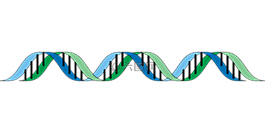 dna,基因,遺傳