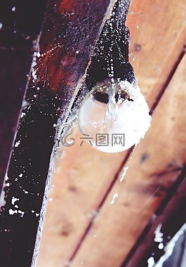 燈泡,棚屋,小木屋