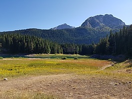 樹(shù),山,旅行