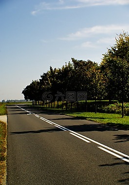 路,景觀,樹(shù)