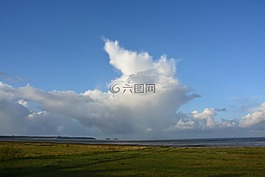 景觀,地平線,海灘