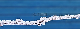 科,雪,冬天