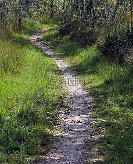 恢復,休閑,離