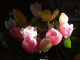 郁金香,花束,斯特劳斯