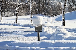 冬天,雪,冷