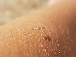 皮膚,頭發(fā),感覺