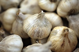 大蒜,性質(zhì),白