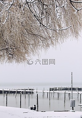 湖,雪,展望