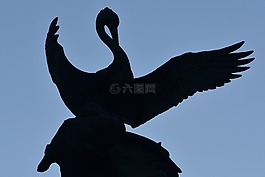 天鵝,圖像,雕像
