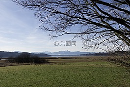 樹(shù),性質(zhì),景觀