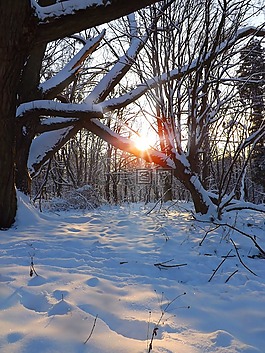 冬季,日落,雪