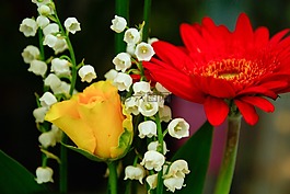 花束,鮮花,粉色