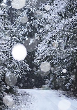 冬天,雪下,雪