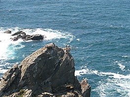 海,岩石,水