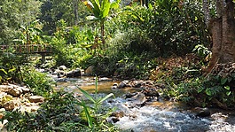 maekampong,泰國清邁,視圖
