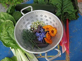 碗,金屬碗,沙拉碗