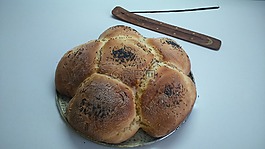 奶油,拓荒者,種子