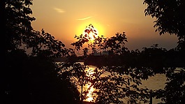 日落,夏天,自然