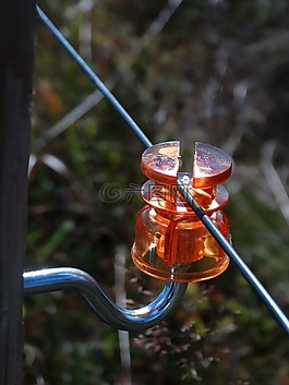 绝缘子,牛栅栏,牛线