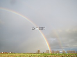 彩虹,树,多彩