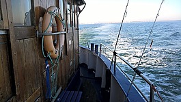 魚,捕魚,湖