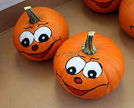 南瓜,南瓜果實(shí),面對(duì)