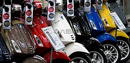 黑盾胡蜂,滑板車,摩托車