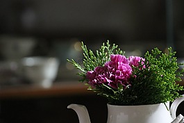 vace,植物,花