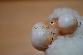 羊,動(dòng)物,羔羊