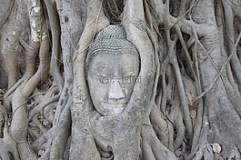 佛,佛教,泰國