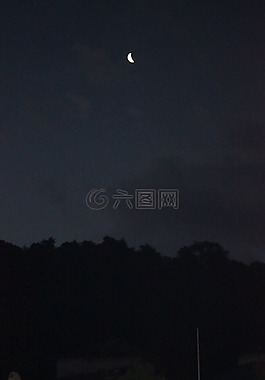 月亮,夜晚的天空,森林
