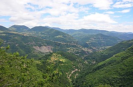 山,森林,自然