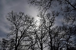 gegenlichtaufnahme,wolkenspiel,天空