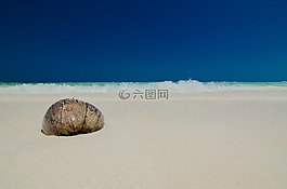 该岛,海,沙滩