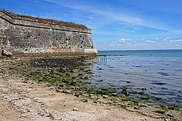海灘,城堡,海