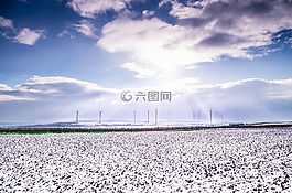 雪,原野,冬天