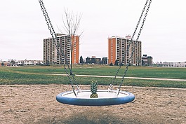 菠蘿,擺動,建筑物
