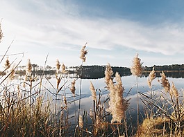 水,湖,自然