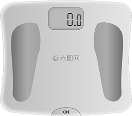 规模,重量,身体