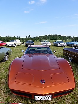汽車,顏色,展覽