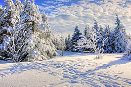 雪,弗羅斯特,冬天