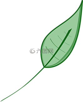 葉,自然,綠色